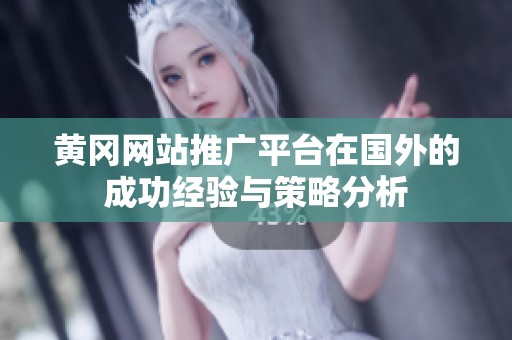 黄冈网站推广平台在国外的成功经验与策略分析