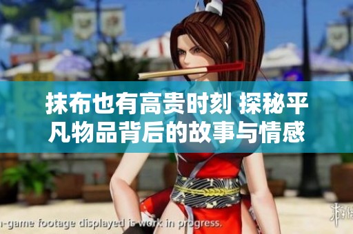 抹布也有高贵时刻 探秘平凡物品背后的故事与情感