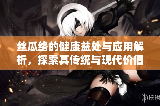 丝瓜络的健康益处与应用解析，探索其传统与现代价值