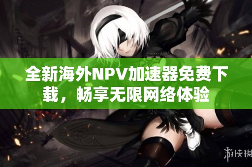 全新海外NPV加速器免费下载，畅享无限网络体验