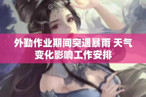外勤作业期间突遇暴雨 天气变化影响工作安排