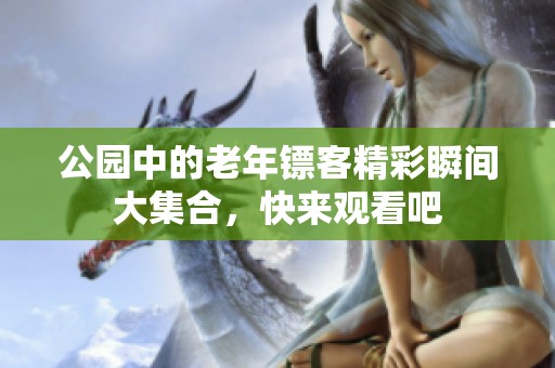 公园中的老年镖客精彩瞬间大集合，快来观看吧