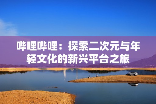 哔哩哔哩：探索二次元与年轻文化的新兴平台之旅