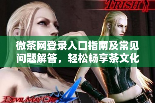 微茶网登录入口指南及常见问题解答，轻松畅享茶文化