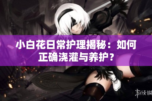 小白花日常护理揭秘：如何正确浇灌与养护？