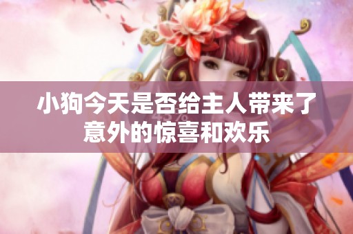 小狗今天是否给主人带来了意外的惊喜和欢乐