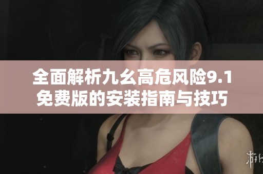 全面解析九幺高危风险9.1免费版的安装指南与技巧