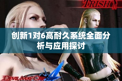 创新1对6高耐久系统全面分析与应用探讨