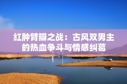 红肿臂瓣之战：古风双男主的热血争斗与情感纠葛