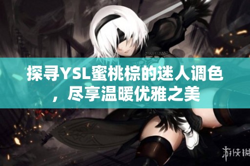 探寻YSL蜜桃棕的迷人调色，尽享温暖优雅之美