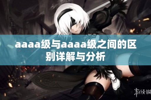 aaaa级与aaaa级之间的区别详解与分析
