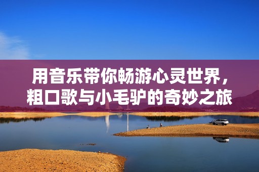 用音乐带你畅游心灵世界，粗口歌与小毛驴的奇妙之旅