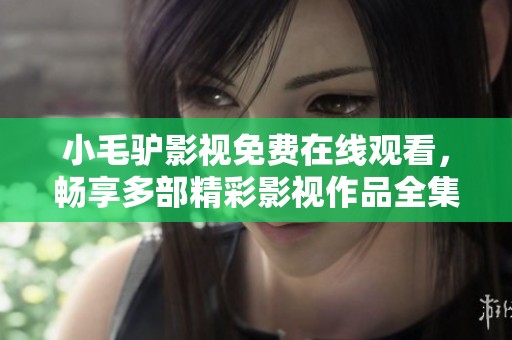 小毛驴影视免费在线观看，畅享多部精彩影视作品全集