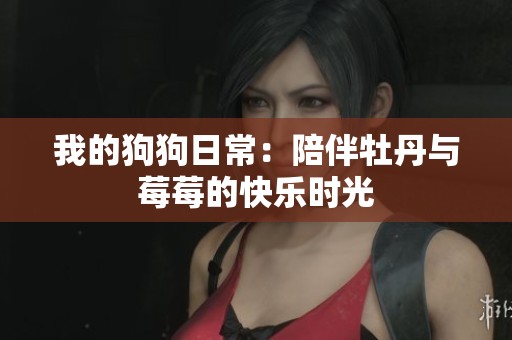 我的狗狗日常：陪伴牡丹与莓莓的快乐时光