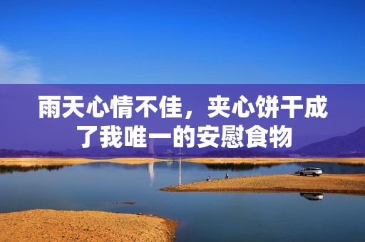 雨天心情不佳，夹心饼干成了我唯一的安慰食物