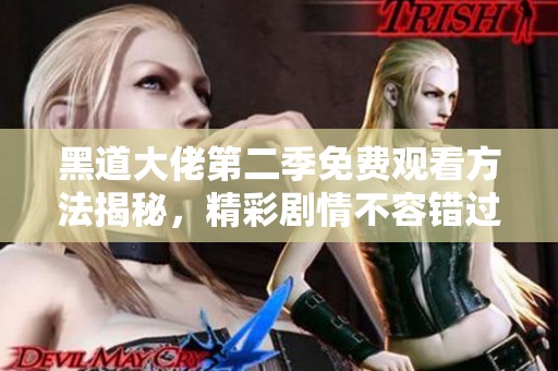 黑道大佬第二季免费观看方法揭秘，精彩剧情不容错过