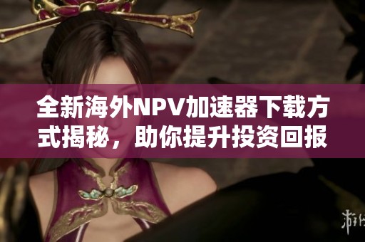 全新海外NPV加速器下载方式揭秘，助你提升投资回报率