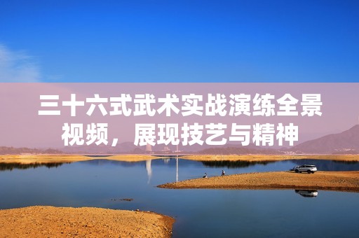 三十六式武术实战演练全景视频，展现技艺与精神