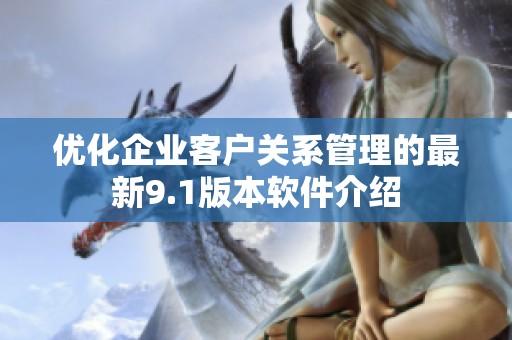 优化企业客户关系管理的最新9.1版本软件介绍