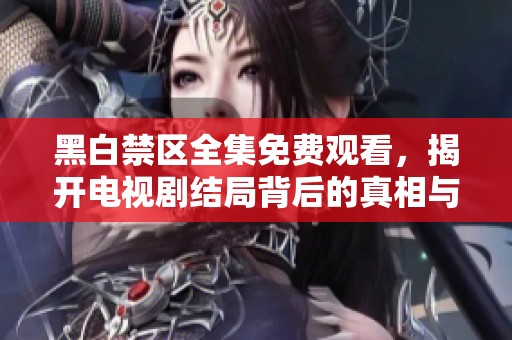 黑白禁区全集免费观看，揭开电视剧结局背后的真相与深意