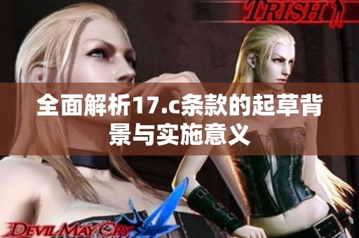 全面解析17.c条款的起草背景与实施意义