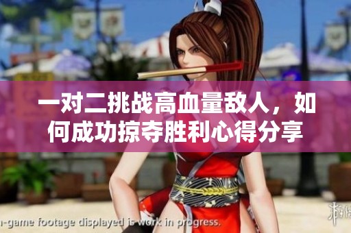 一对二挑战高血量敌人，如何成功掠夺胜利心得分享