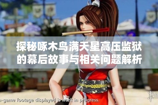 探秘啄木鸟满天星高压监狱的幕后故事与相关问题解析