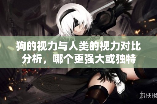 狗的视力与人类的视力对比分析，哪个更强大或独特