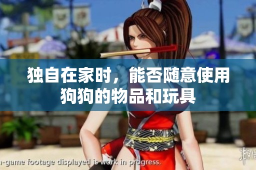 独自在家时，能否随意使用狗狗的物品和玩具