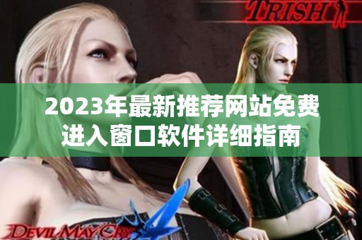 2023年最新推荐网站免费进入窗口软件详细指南