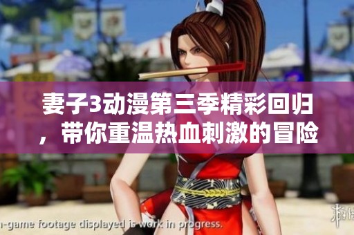 妻子3动漫第三季精彩回归，带你重温热血刺激的冒险之旅