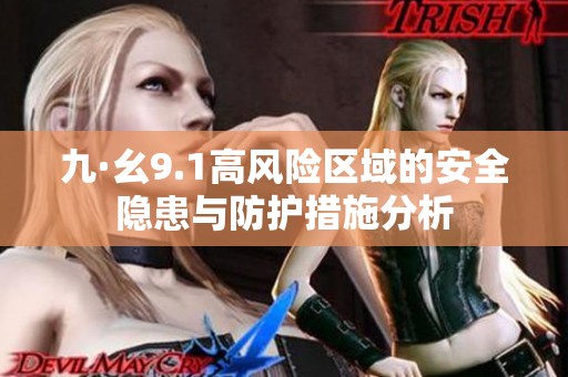 九·幺9.1高风险区域的安全隐患与防护措施分析