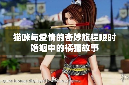 猫咪与爱情的奇妙旅程限时婚姻中的橘猫故事
