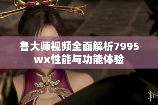 鲁大师视频全面解析7995wx性能与功能体验