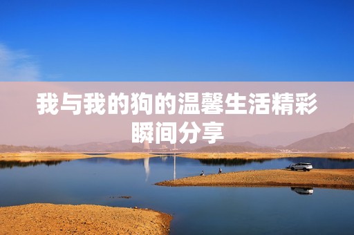 我与我的狗的温馨生活精彩瞬间分享