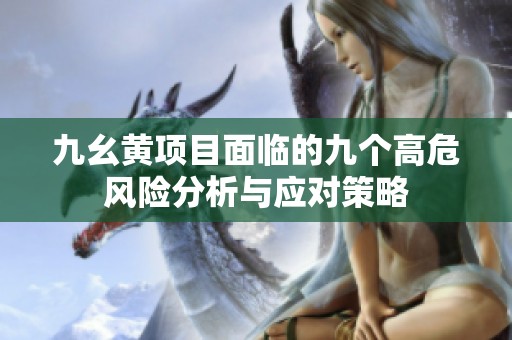 九幺黄项目面临的九个高危风险分析与应对策略
