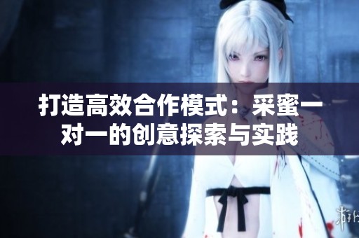 打造高效合作模式：采蜜一对一的创意探索与实践