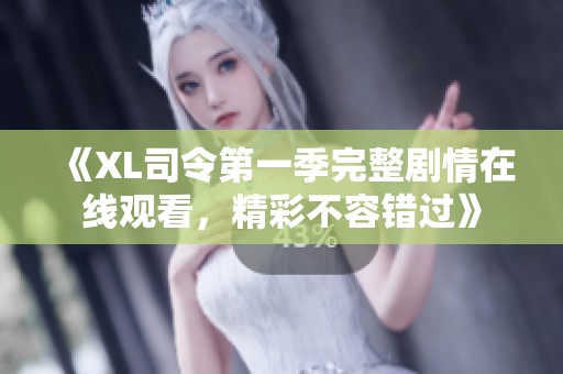《XL司令第一季完整剧情在线观看，精彩不容错过》