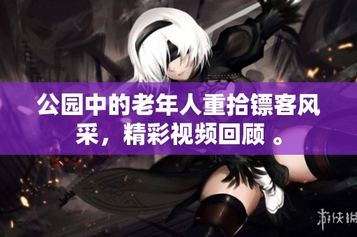 公园中的老年人重拾镖客风采，精彩视频回顾 。