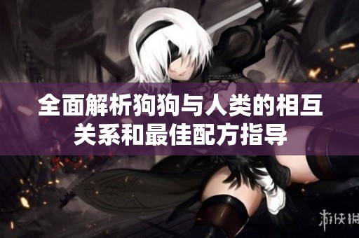 全面解析狗狗与人类的相互关系和最佳配方指导