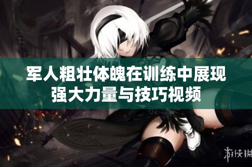 军人粗壮体魄在训练中展现强大力量与技巧视频