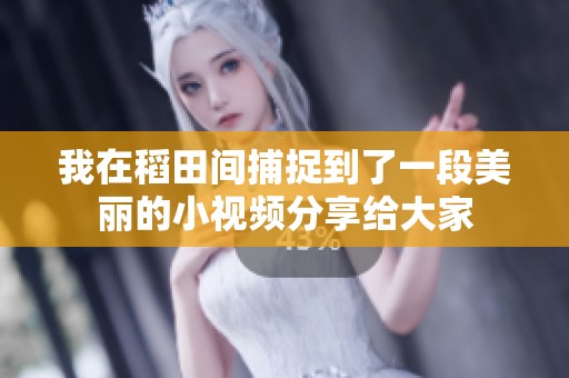 我在稻田间捕捉到了一段美丽的小视频分享给大家