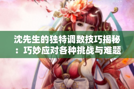 沈先生的独特调数技巧揭秘：巧妙应对各种挑战与难题