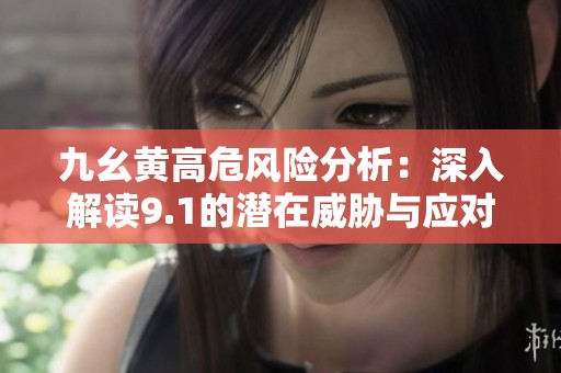 九幺黄高危风险分析：深入解读9.1的潜在威胁与应对策略