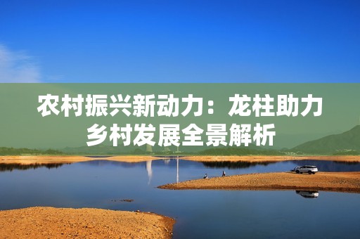 农村振兴新动力：龙柱助力乡村发展全景解析