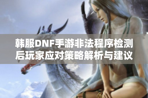 韩服DNF手游非法程序检测后玩家应对策略解析与建议