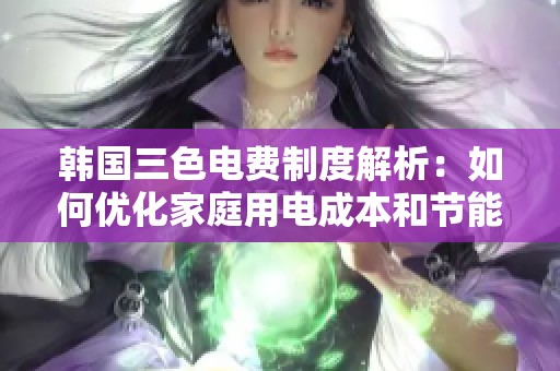 韩国三色电费制度解析：如何优化家庭用电成本和节能效果