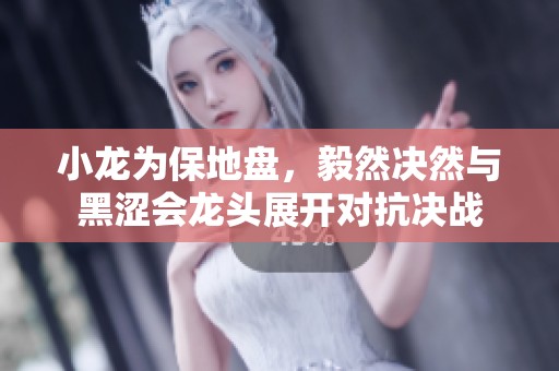 小龙为保地盘，毅然决然与黑涩会龙头展开对抗决战
