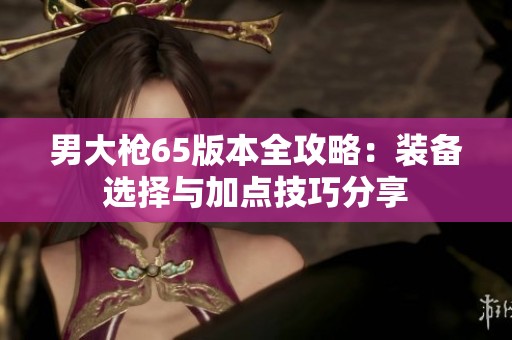 男大枪65版本全攻略：装备选择与加点技巧分享