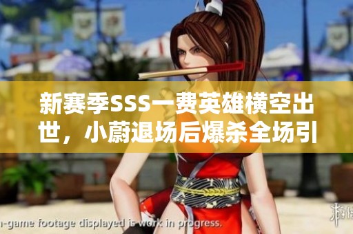 新赛季SSS一费英雄横空出世，小蔚退场后爆杀全场引热议